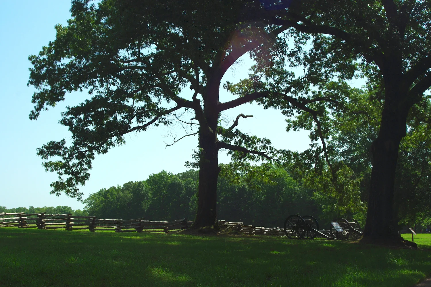 Large trees shade the edge of Sarah Bell Cotton Field at Shiloh National Military Park.