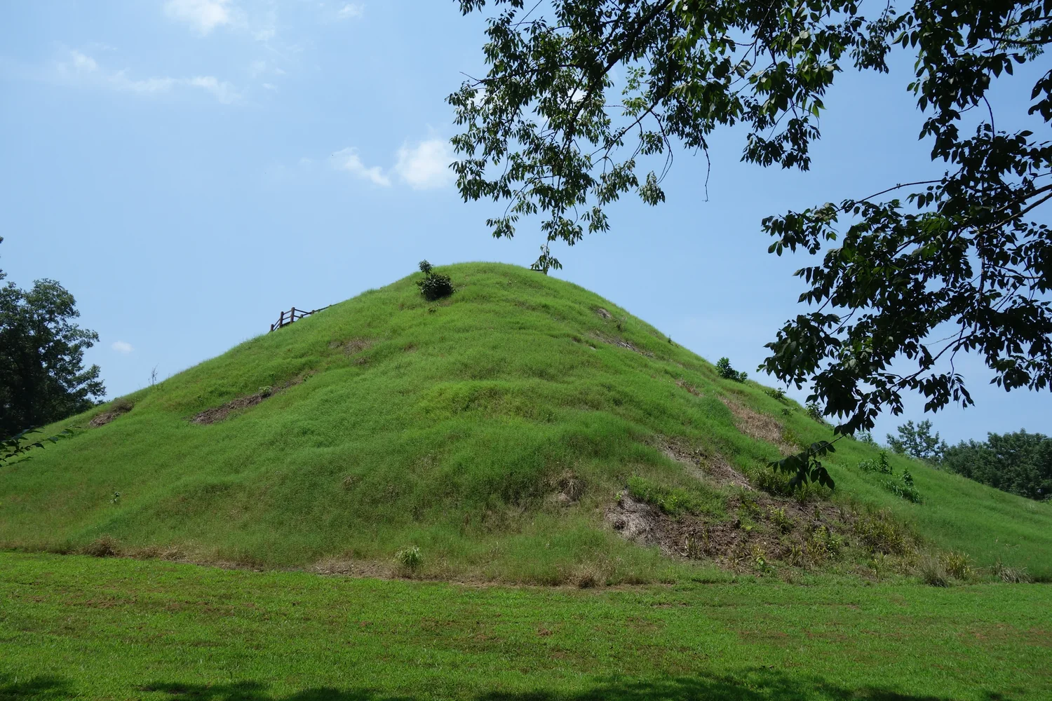 A steep grass-covered earthwork rises beneath blue sky at Pinson Mounds.