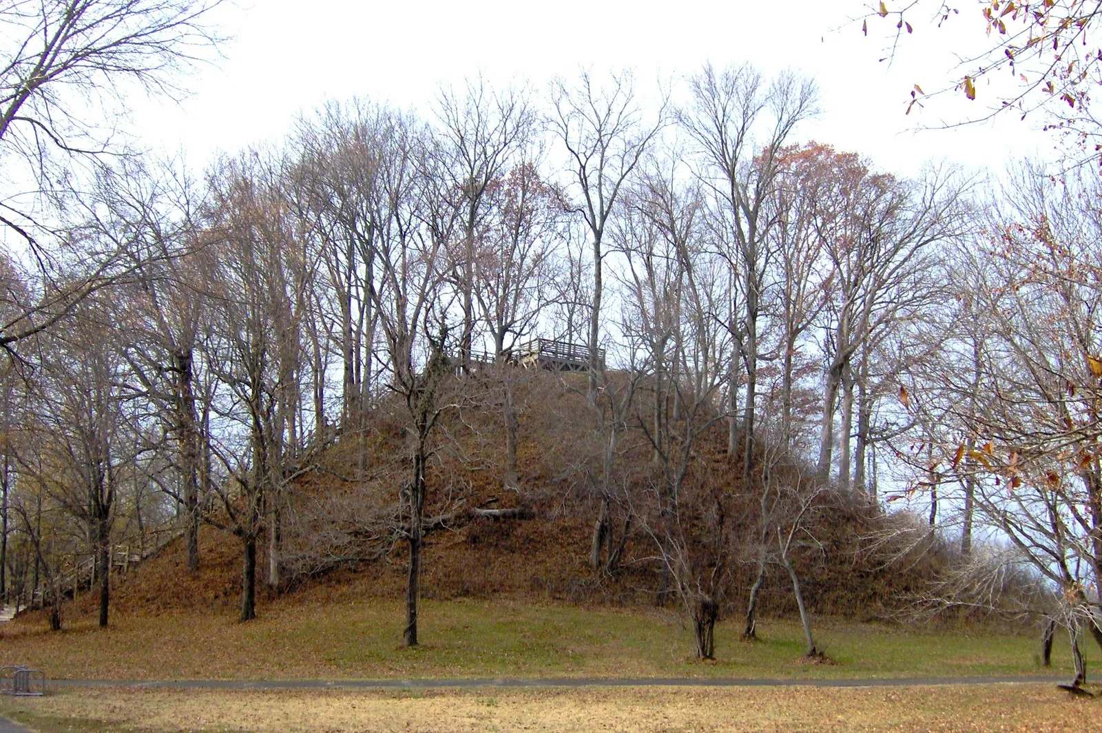 Sauls’ Mound at Pinson Mounds rises behind leafless trees and grass.